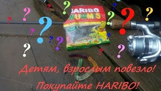 Эксперимент! Окунь любит мармелад?