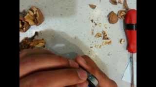 KIRILMAZ EKRAN JELATİNİ,FİLMİ.ROOTACASE