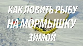ЛОВЛЯ НА МОРМЫШКИ ДЛЯ ЗИМНЕЙ РЫБАЛКИ - ПРОВОДКИ ПРИМАНОК, СОВЕТЫ