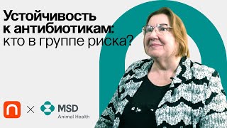 Резистентность к антибиотикам в практике врача / Ирина Петухова на ПостНауке