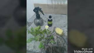 Tônico caseiro para crescimento acelerado do cabelo !