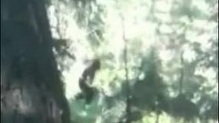 REAL BIGFOOT FOOTAGE FROM AFRICA
