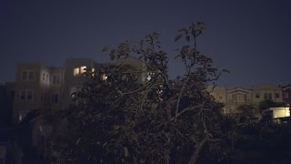Sony a7s Test Footage / San Francisco
