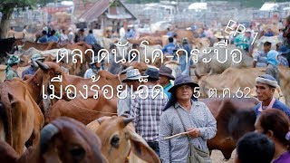 EP.1 ตลาดนัดโค-กระบือ เมืองร้อยเอ็ด [5ต.ค.62]