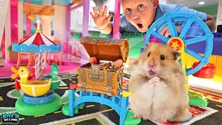 GIANT HAMSTER RACE in Giant LEGO BOX FORT! Two Cute Hamsters Race!