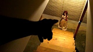 CRAZY HAUNTED BASEMENT!!