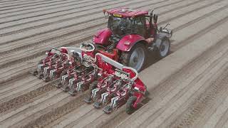 Organic Carrot Drilling at Pollybell Farm - CASE IH 150 Puma CVX