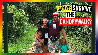 ??Ghana Vlog #13 Kakum National Park II CapeCoast, Ghana Part 2