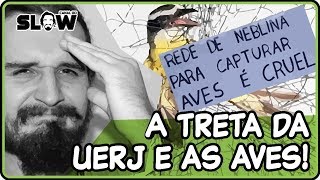 A UERJ E A "MATANÇA" DE AVES! | Canal do Slow 56
