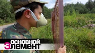 Зверская зона Чернобыля | Основной элемент