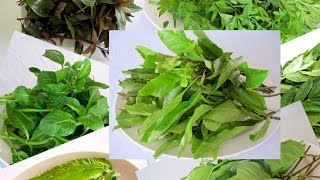 Вьетнамская и азиатская зелень и как ее есть Вьетнамская кухня Ч1 обзор зелени