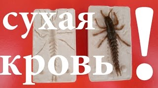 Аттрактанты и силиконовые приманки самоделки для рыбалки своими руками съедобная резина на окуня