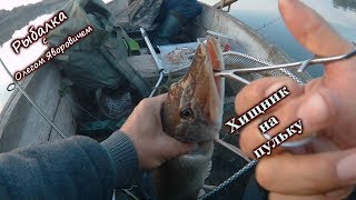 Ловля хищника на пульку.(грушка) Вечерняя рыбалка.