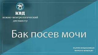 15  Бак посев мочи