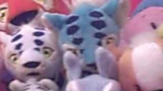 My Neopet Collection