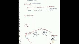 #Uptet Food Chain Food Web and Energy Transfer in Ecosystem in Hindi and English #uptet #uptet2019