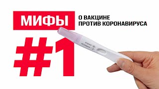 Риск бесплодия и тяжёлые побочные эффекты: учёные разоблачают мифы о вакцине против коронавируса