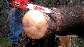 Shindaiwa 357