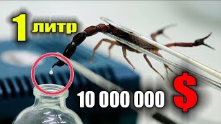 САМАЯ ДОРОГАЯ ЖИДКОСТЬ