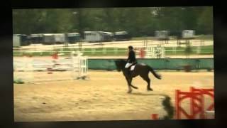 ***SOLD***Saskia, 8y old mare, 1.50m jumper