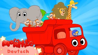 Strandtiere | +Mehr Episoden | Karikatur für Kinder | Kinderlieder | Mila und Morphle auf Deutsch