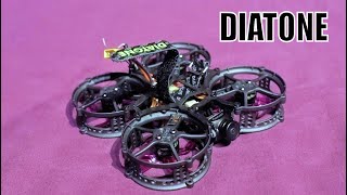 Diatone Tina Whoop Betaflight Version