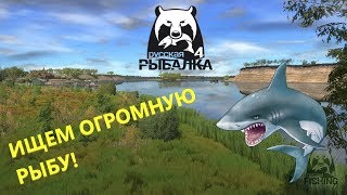 ? РУССКАЯ РЫБАЛКА 4 | ИЩЕМ ОГРОМНУЮ РЫБУ!?