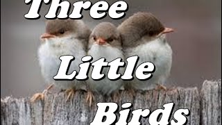 THREE LITTLE BIRDS - DON´T WORRY