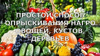 Применение НАГРО. Правильный способ опрыскивания листьев, кустов, растений