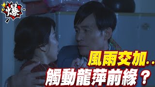《多情大爆爆》多情城市 EP258 風雨交加... 觸動龍萍前緣？