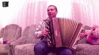 Владимир Бажиновский - Канарейка (Игра на баяне)