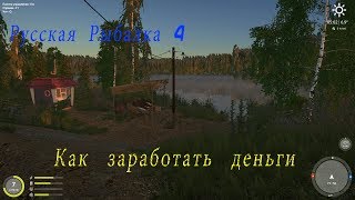 Русская Рыбалка 4 - Как заработать быстро деньги в игре
