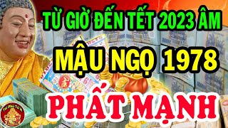Tiên Tri Chính Xác Tử Vi Vận Mệnh Tuổi Mậu Ngọ 1978 Từ Nay Đến Tết 2023
