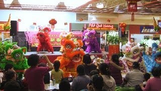 Lion Dance Calgary 2013 at T&T Supermarket Day 1 CNY