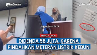 Pindahkan Meteran Listrik Kebun, PLN Emak-emak Nelangsa Didenda 58 Juta