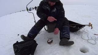 Зарисовки о рыбалке: Чермоз. Ловля Окуня на мормышку.