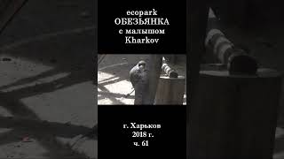  ЭкоПарк Харьков ч.61 / Обезьянка с МАЛЫШОМ / 2018 г. #shorts