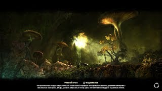 Elder Scrolls Online - Грибной грот 1
