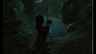Shadow of the Tomb Raider На слабом ПК! 2 ЯДРА.