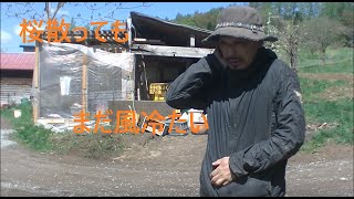 桜は散ってもまだ風は冷たい　サンタのトコロ