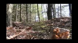 Headquake's RC - #42 (df03) April 13 2011