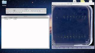 ImageJ Tutorial - Measuring Lengths and Angles