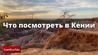 КЕНИЯ - доступная экзотика 2021. Часть 4: экскурсии и сафари в Африке