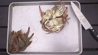 Rainforest Seafoods at Pink Apron's Summer Boil 2018