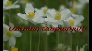 HOGEVOR ERGER - MURAD ZAKARYAN - GARUN HRASHALI