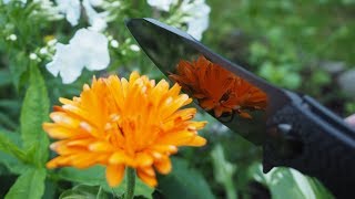 Нож CKF Асимметричный DLC Limited