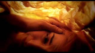 beck-everybody's gotta learn sometimes