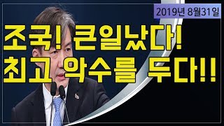 조국! 큰일났다!! 최고의 악수를 두다!!!