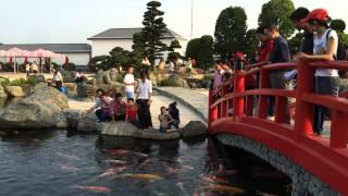 Công viên cá Koi Rin Rin Park
