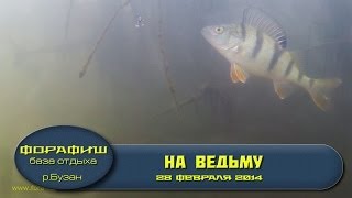 База ФораФиш. р.Бузан. 28 февраля 2014.Ведьма.